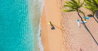 Plongée en Guadeloupe : les meilleurs spots selon votre niveau de brevet