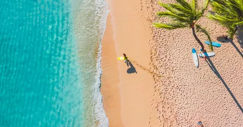 Plongée en Guadeloupe : les meilleurs spots selon votre niveau de brevet