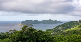 Plongée sous-marine en Martinique : les meilleurs spots par zone