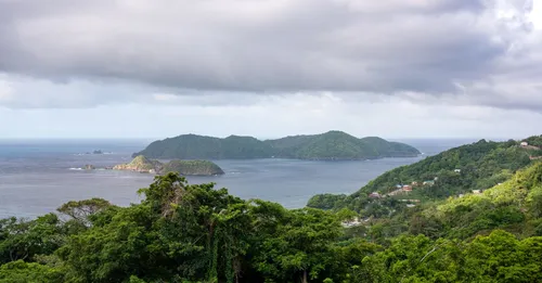 Plongée sous-marine en Martinique : les meilleurs spots par zone