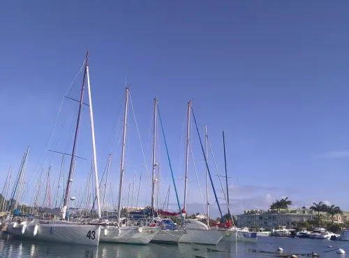 Pointe-à-Pitre, Baie-Mahault, Le Gosier : quel quartier ?