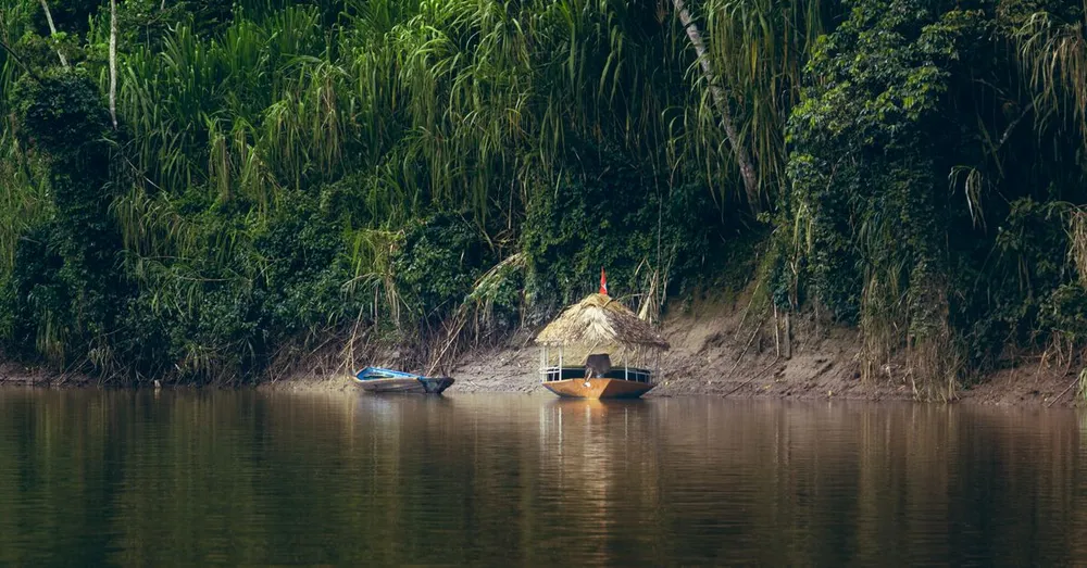 Premier voyage en Guyane : les erreurs à éviter et nos conseils de terrain