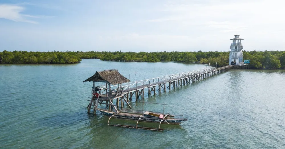 Presqu'île de la Caravelle : réserve, mangrove, phare et château Dubuc au départ de Tartane