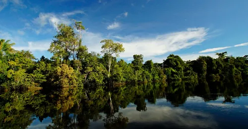 Tarifs de nuitée en Guyane : grille de prix par commune et par saison