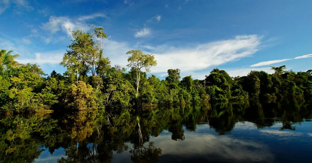 Tarifs de nuitée en Guyane : grille de prix par commune et par saison