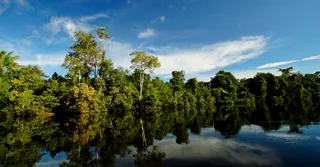 Tarifs de nuitée en Guyane : grille de prix par commune et par saison