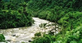Quand partir en Guyane : météo, ponte des tortues et tirs Ariane, le calendrier mois par mois