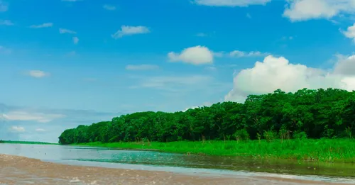 Quand partir en Guyane ? Climat, saisons et meilleure période (2026)