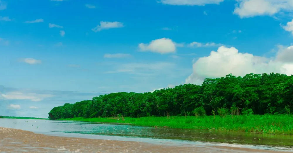 Quand partir en Guyane ? Climat, saisons et meilleure période (2026)