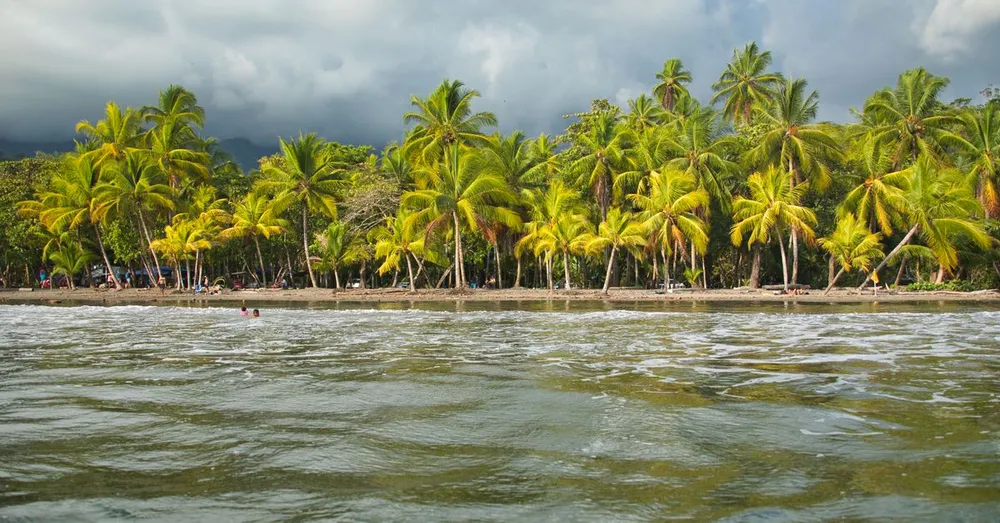 Quand partir en Martinique : mois par mois, le vrai climat