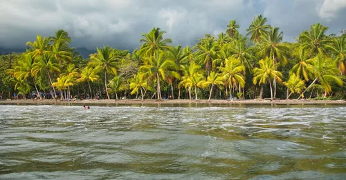 Quand partir en Martinique : mois par mois, le vrai climat