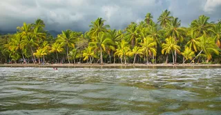 Quand partir en Martinique : mois par mois, le vrai climat
