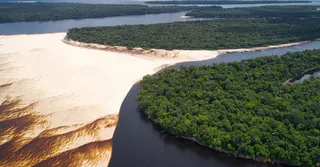 O que fazer na Guiana Francesa: 25 imperdíveis fora dos roteiros tradicionais