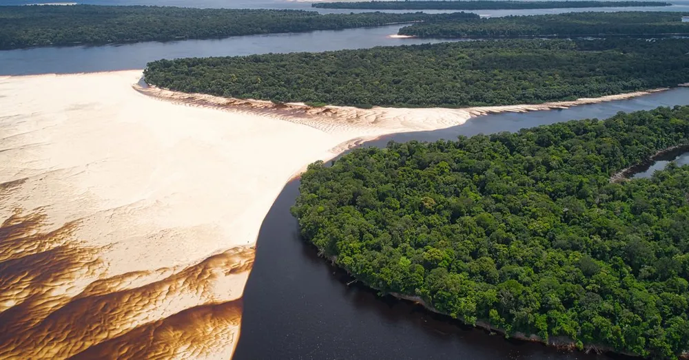 Que faire en Guyane : 25 incontournables hors des sentiers battus