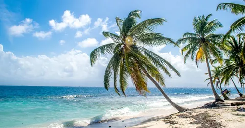 Que faire en Guadeloupe : 30 incontournables par un local