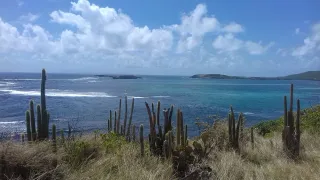 O que fazer em Le Marin: marina, vela e acesso às ilhotas do sul da Martinica