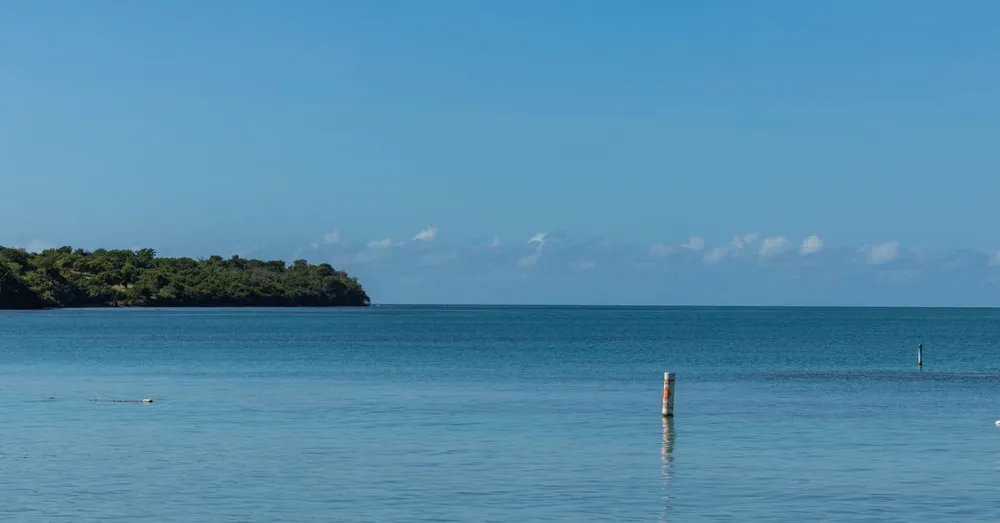 Que faire en Martinique : 25 incontournables par les locaux