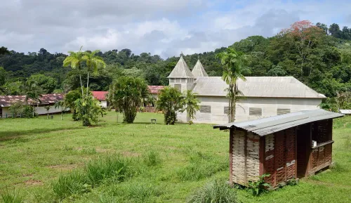Que faire à Saül : le village de Guyane où l'on vient marcher