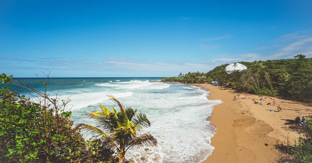 Randonnées faciles avec enfants en Martinique : 5 traces testées en famille