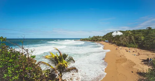 Randonnées faciles avec enfants en Martinique : 5 traces testées en famille