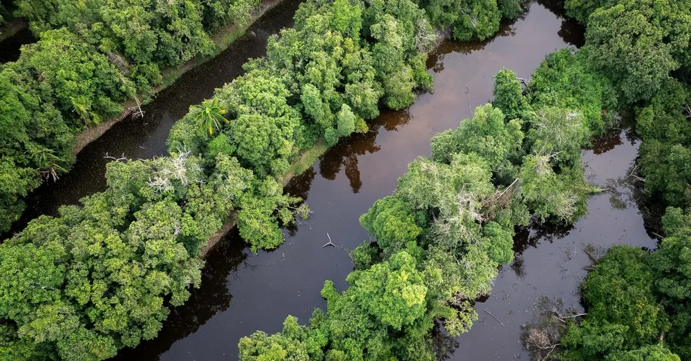 Randonnées en Guyane : nos plus beaux treks (2026)
