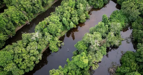 Randonnées en Guyane : nos plus beaux treks (2026)