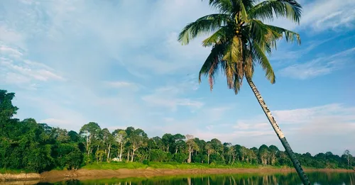 Réglementation des locations saisonnières en Guyane : changement d'usage et quotas