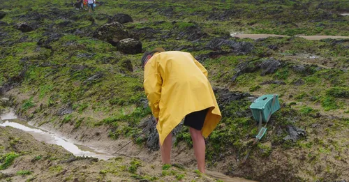 Réglementation de la pêche à pied et des coquillages en Martinique : ce qui est permis, interdit et protégé