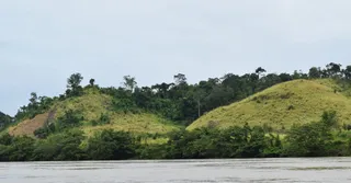 Réseau mobile en Guyane : couverture, forfaits et zones blanches du fleuve
