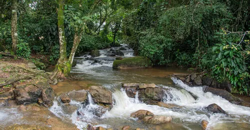 Réserve naturelle de l'Amana : la Guyane amérindienne authentique