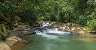 Réserver un hébergement en Guyane : zones, saisons et tarifs tir