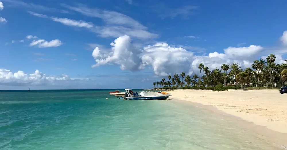 Où manger en Guadeloupe ? Meilleurs restaurants au Gosier & Sainte-Anne