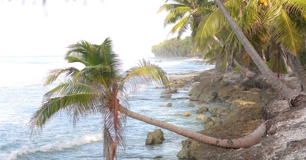 Où manger en Martinique ? Meilleurs restaurants Trois-Îlets & Fort-de-France