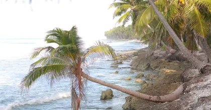 Où manger en Martinique ? Meilleurs restaurants Trois-Îlets & Fort-de-France
