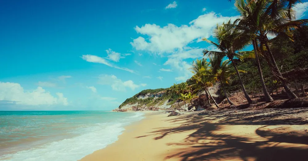 Réveillon et jour de l'an en Guadeloupe : louer pour les fêtes