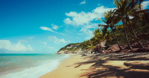 Réveillon et jour de l'an en Guadeloupe : louer pour les fêtes