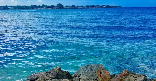 Rhum agricole AOC Martinique : comprendre la seule AOC rhum au monde