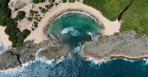 Roches Gravées de Guadeloupe : visiter le parc de Trois-Rivières et lire les gravures amérindiennes