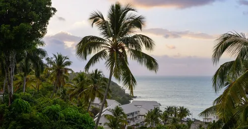 Route des distilleries de Martinique : 9 visites à faire absolument