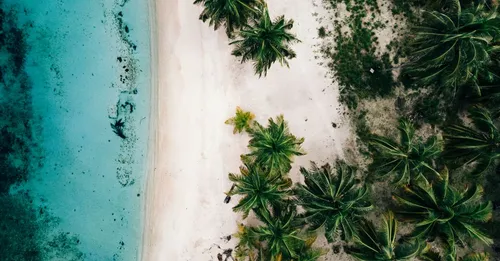 Route des distilleries de rhum agricole en Guadeloupe : le circuit dégustation responsable