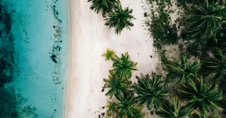 Route des distilleries de rhum agricole en Guadeloupe : le circuit dégustation responsable