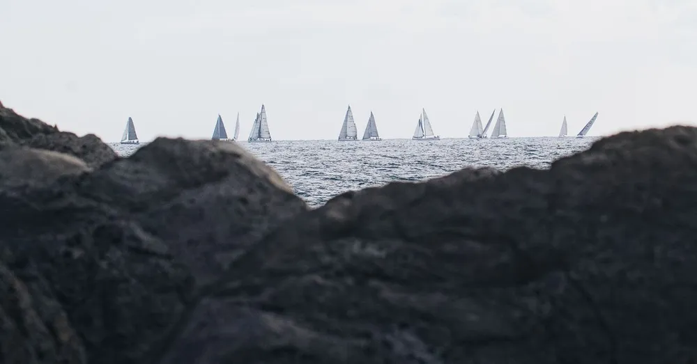 Route du Rhum à Pointe-à-Pitre : louer pour l'arrivée