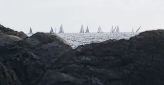 Route du Rhum à Pointe-à-Pitre : louer pour l'arrivée