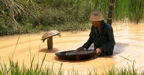 Saint-Élie et l'or de Guyane : sur la route des anciennes mines
