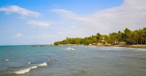 Sainte-Marie en Martinique : tombolo, rhum Saint-James et plantations de banane
