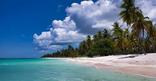 Santé en Guadeloupe : vaccins, dengue, eau et pharmacie