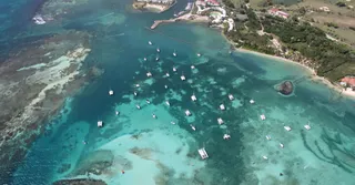 Santé en Martinique : vaccins, moustiques et eau du robinet