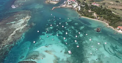 Santé en Martinique : vaccins, moustiques et eau du robinet