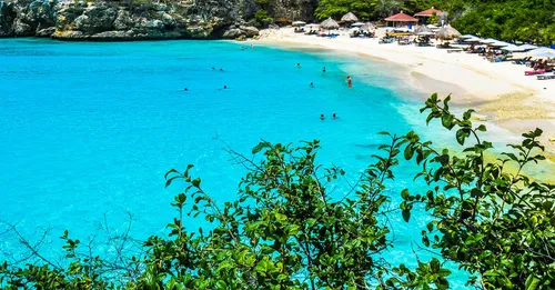 Sargasses en Guadeloupe : ou et quand, quelles plages eviter