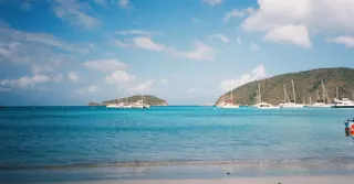 Sargasses en Martinique : quelles plages éviter, quand et comment anticiper